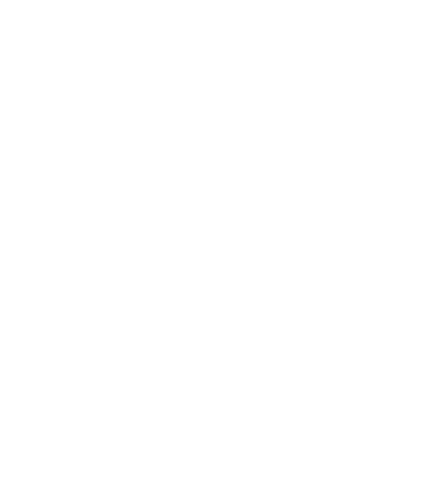 Ken Aarna